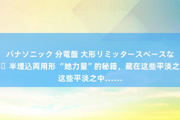 パナソニック 分電盤 大形リミッタースペースなし 露出・半埋込両用形 “她力量”的秘籍，藏在这些平淡之中……