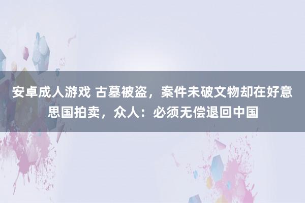 安卓成人游戏 古墓被盗，案件未破文物却在好意思国拍卖，众人：必须无偿退回中国