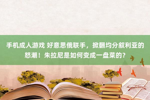 手机成人游戏 好意思俄联手，掀翻均分叙利亚的怒潮！朱拉尼是如何变成一盘菜的？