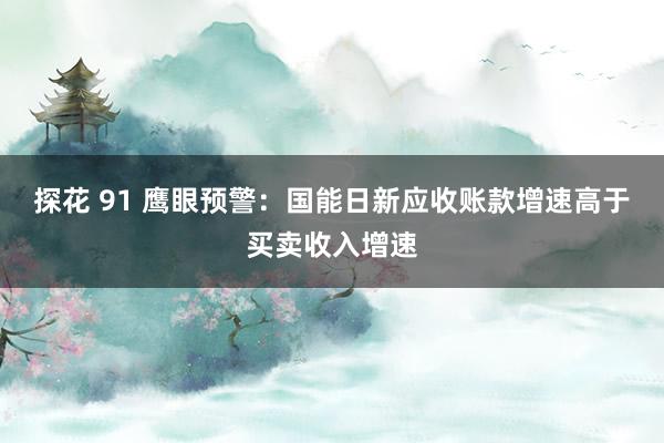 探花 91 鹰眼预警：国能日新应收账款增速高于买卖收入增速