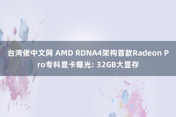 台湾佬中文网 AMD RDNA4架构首款Radeon Pro专科显卡曝光: 32GB大显存
