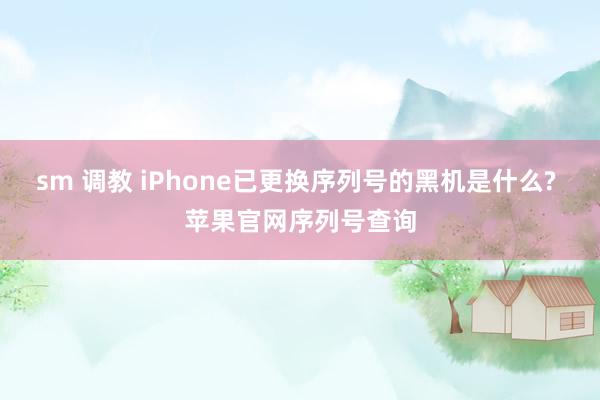 sm 调教 iPhone已更换序列号的黑机是什么? 苹果官网序列号查询