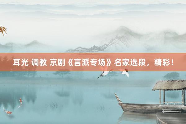 耳光 调教 京剧《言派专场》名家选段，精彩！