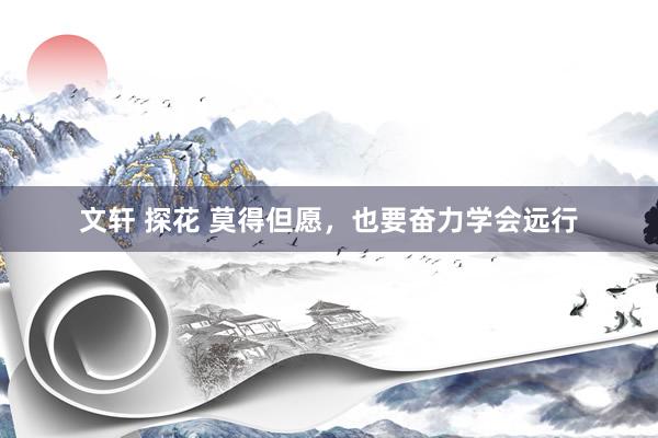 文轩 探花 莫得但愿，也要奋力学会远行