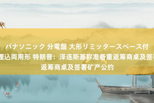 パナソニック 分電盤 大形リミッタースペース付 露出・半埋込両用形 特朗普：泽连斯基称准备重返筹商桌及签署矿产公约